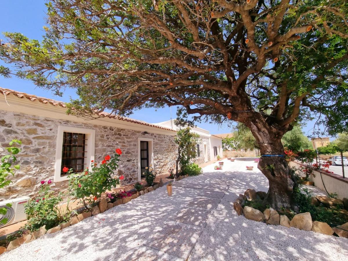 Stazzo San Teodoro La Quercia Piscina Condivisa Leilighet Eksteriør bilde