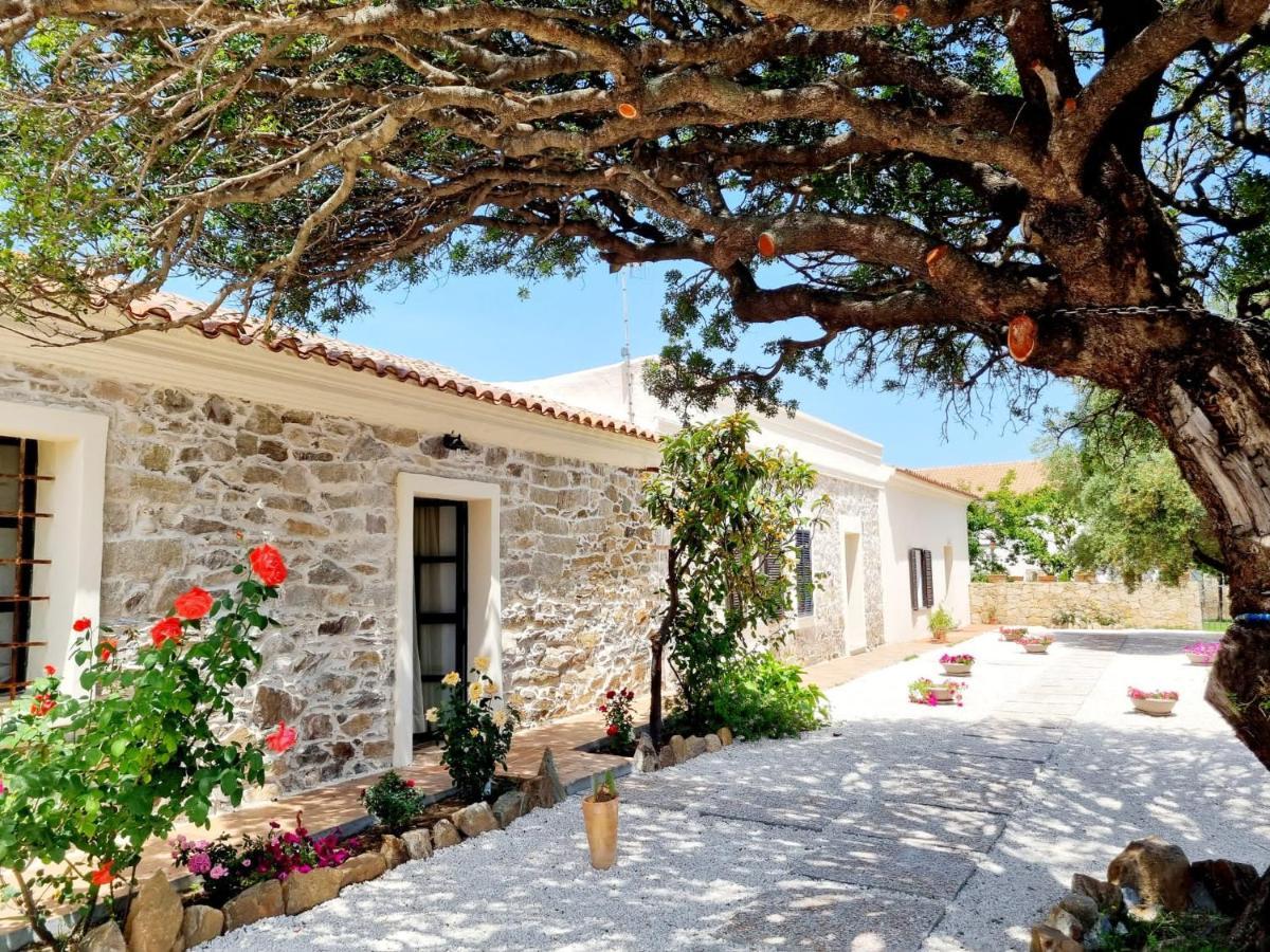 Stazzo San Teodoro La Quercia Piscina Condivisa Leilighet Eksteriør bilde