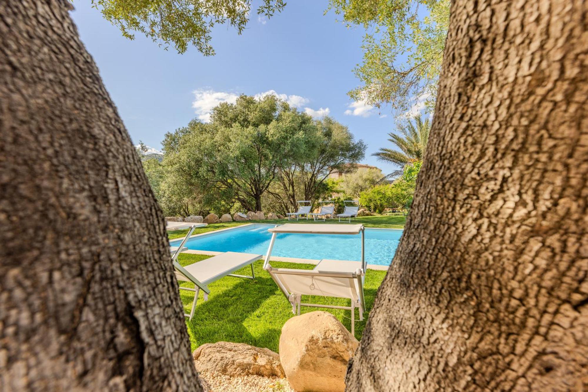 Stazzo San Teodoro La Quercia Piscina Condivisa Leilighet Eksteriør bilde
